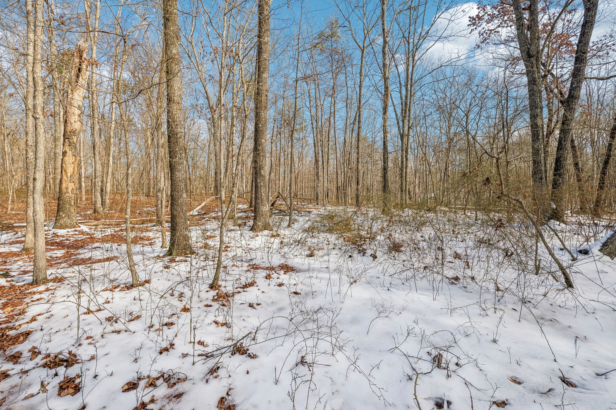 0 Timberwood Trace Monteagle TN 37356