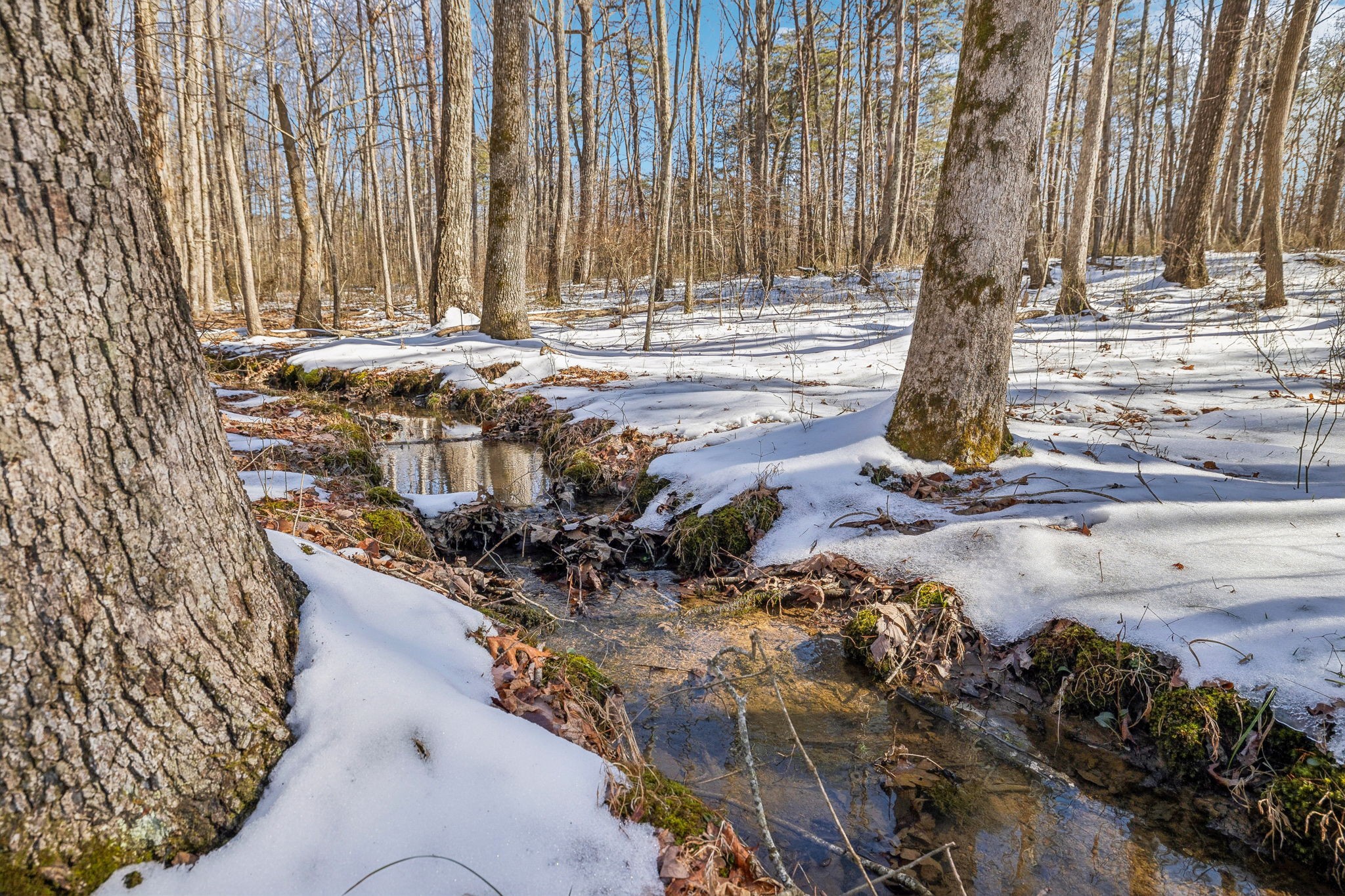 0 Timberwood Trace Monteagle TN 37356