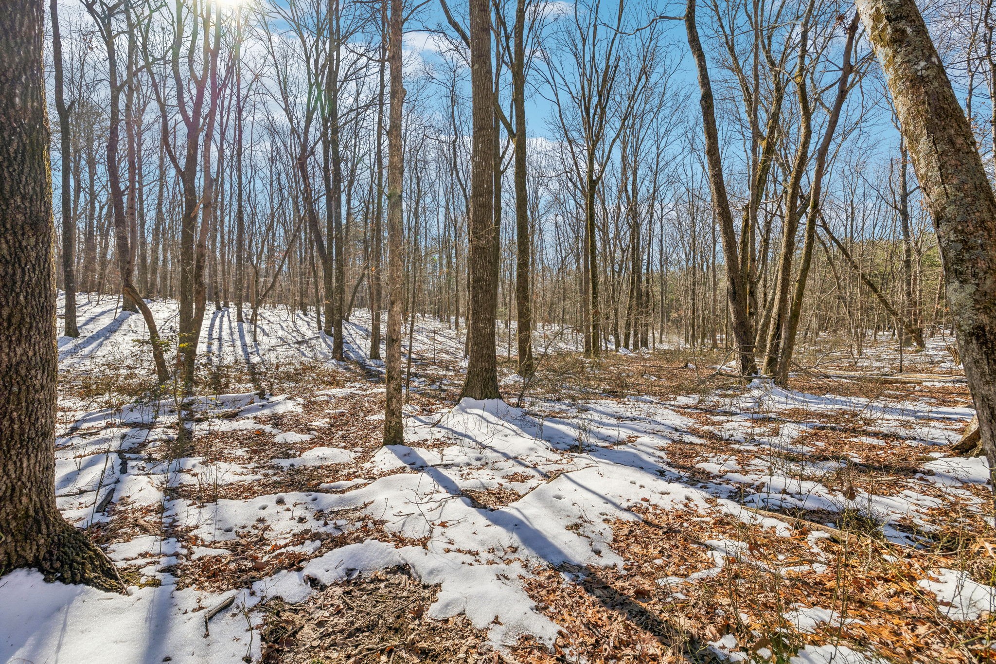 0 Timberwood Trace Monteagle TN 37356