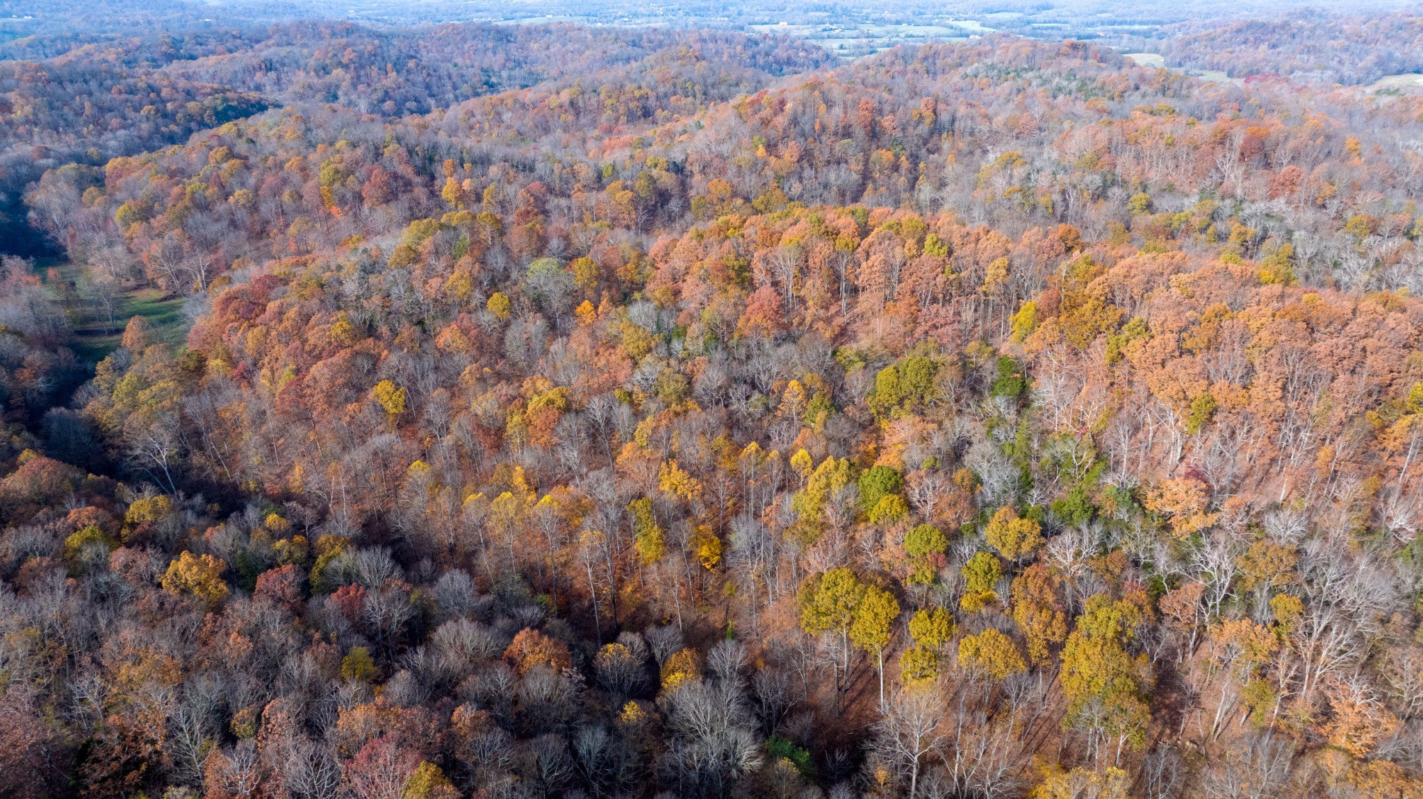 0 Brazier Drive Gallatin TN 37066