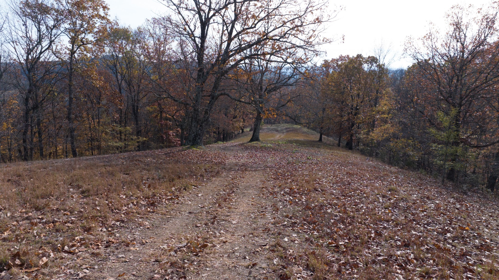 0 Brazier Drive Gallatin TN 37066
