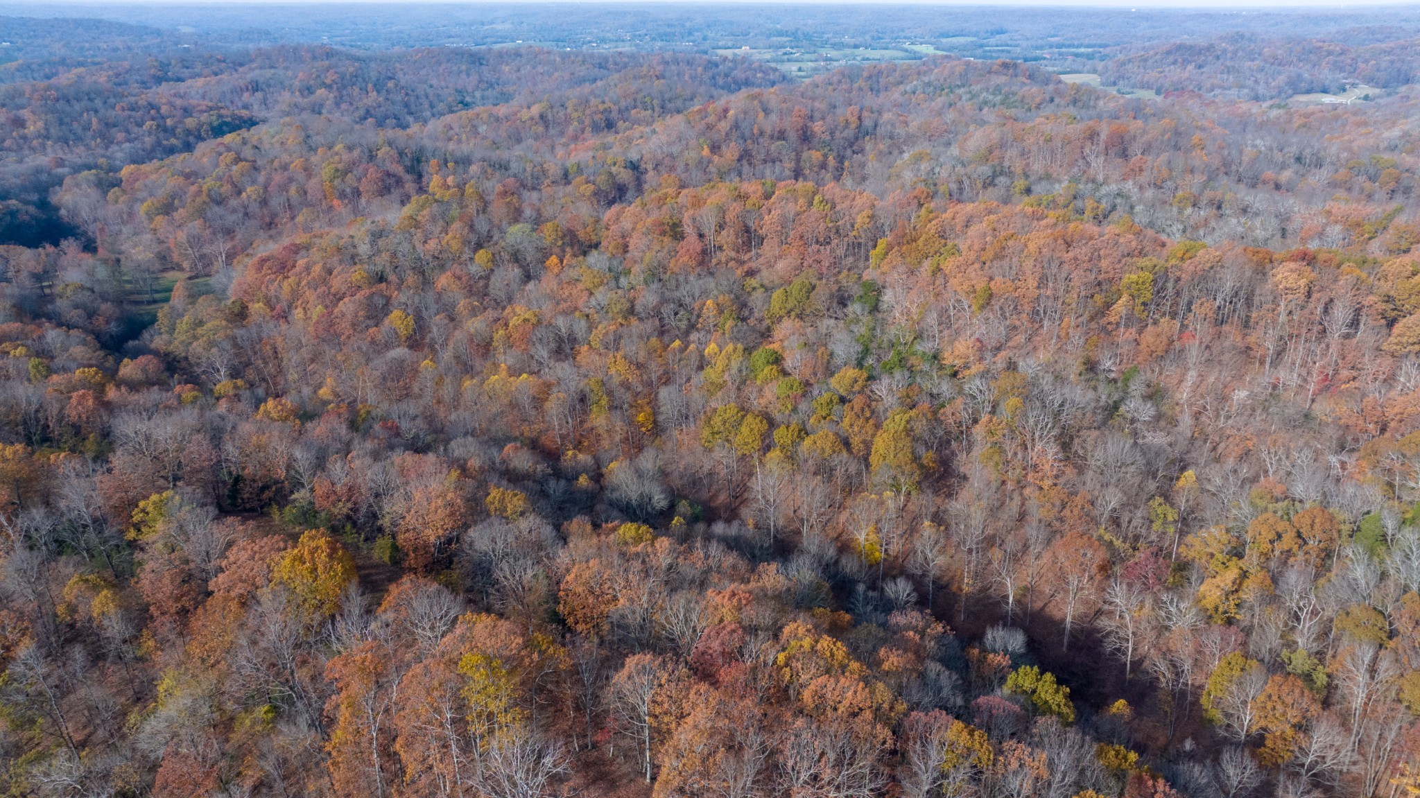 0 Brazier Drive Gallatin TN 37066