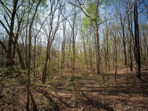 3916 Cummings Road Chattanooga TN 37419