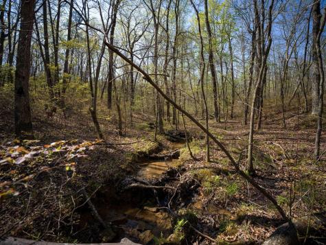 3916 Cummings Road Chattanooga TN 37419