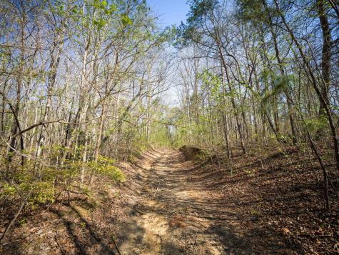 3916 Cummings Road Chattanooga TN 37419
