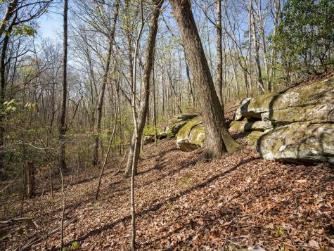 3916 Cummings Road Chattanooga TN 37419