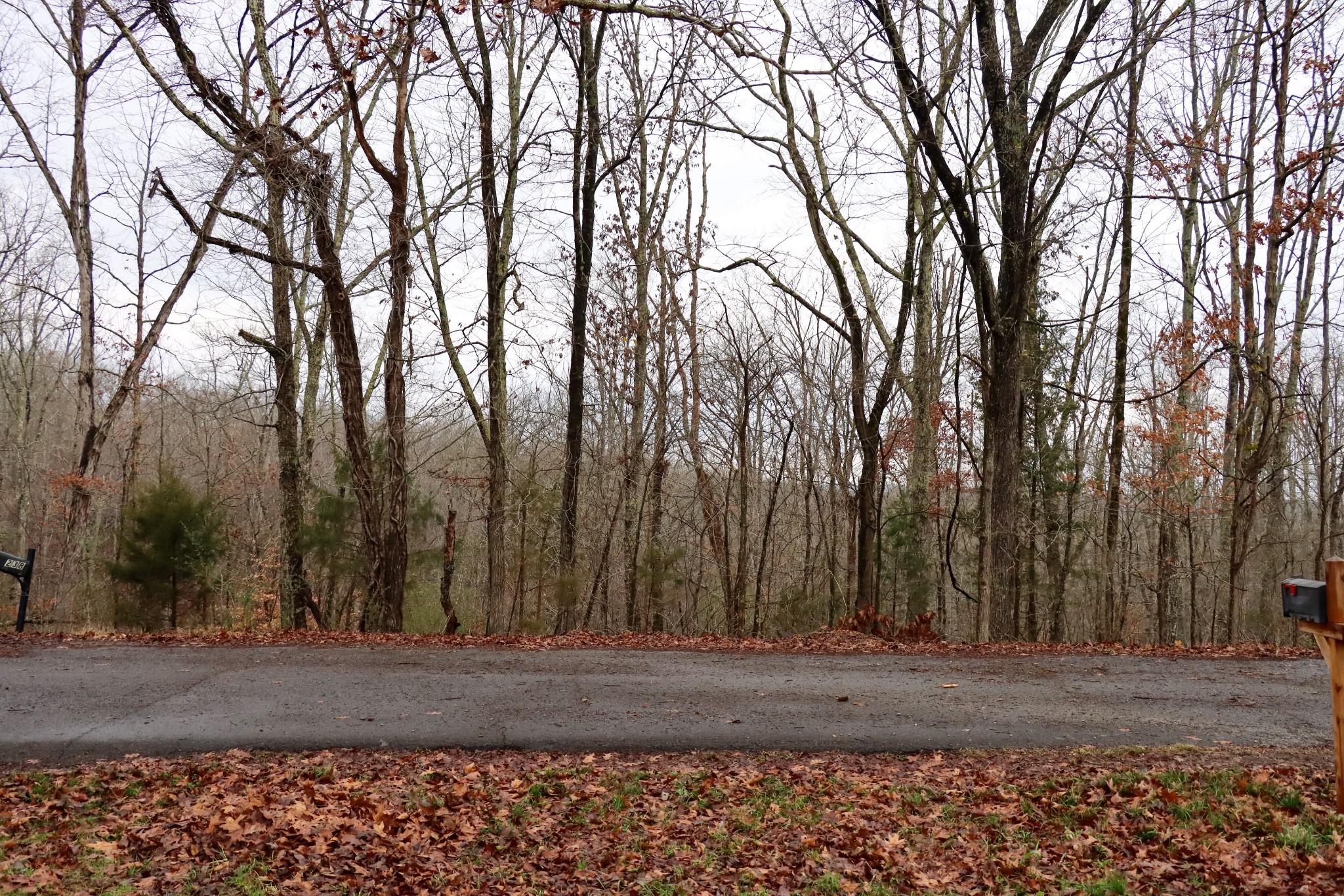 234 W End Drive Waverly TN 37185