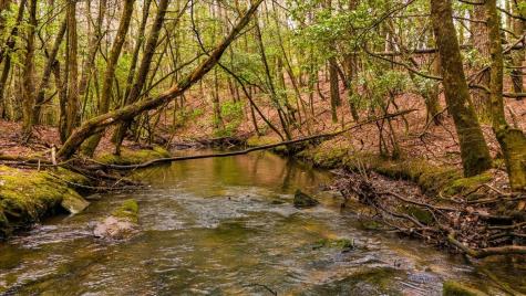 0 Timberwood Trace Monteagle TN 37356