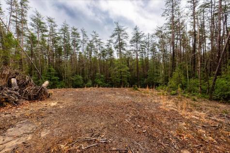 0 Timberwood Trace Monteagle TN 37356