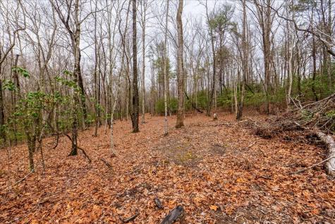 0 Timberwood Trace Monteagle TN 37356
