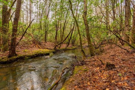 0 Timberwood Trace Monteagle TN 37356