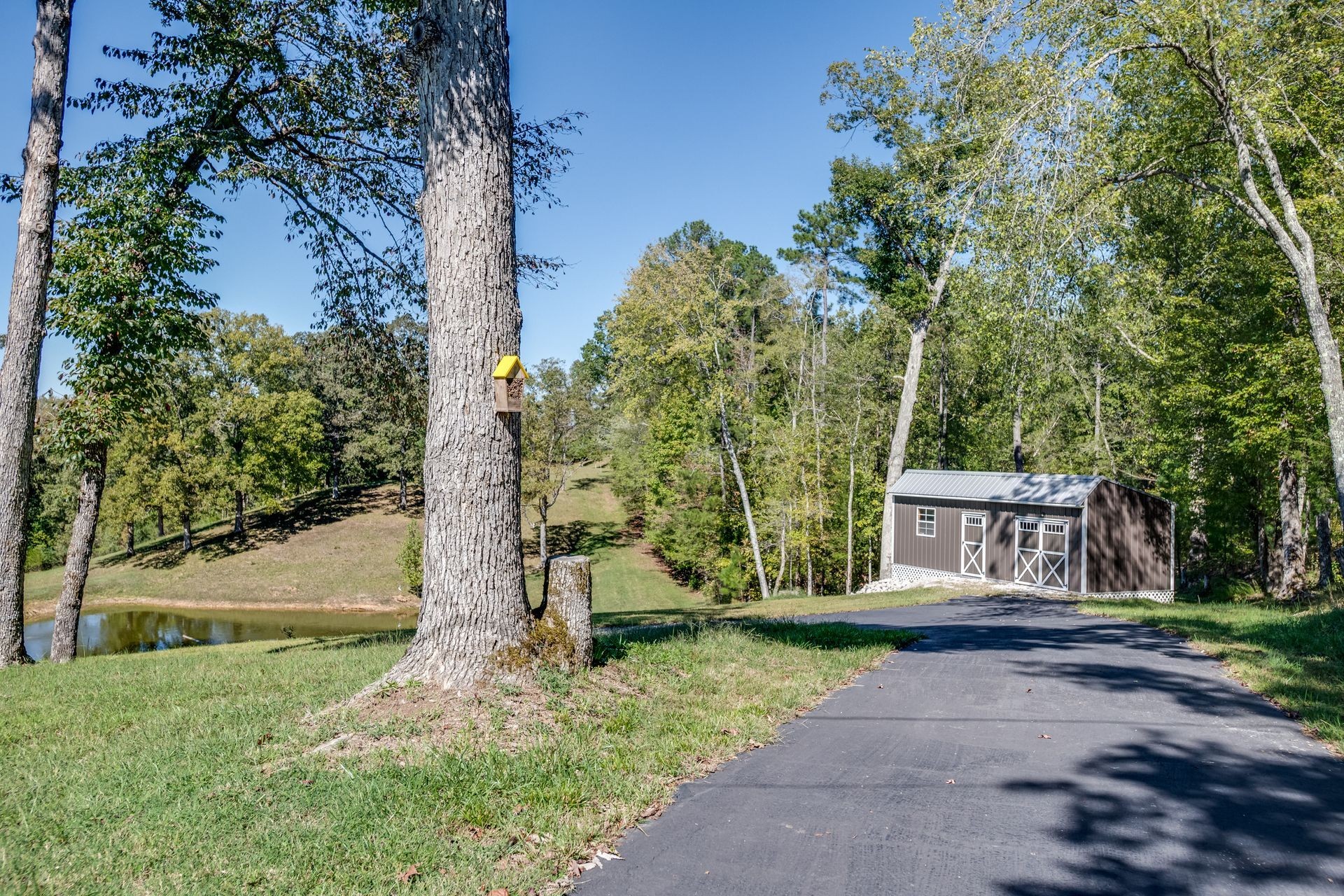 2743 Mouse Tail Road Parsons TN 38363