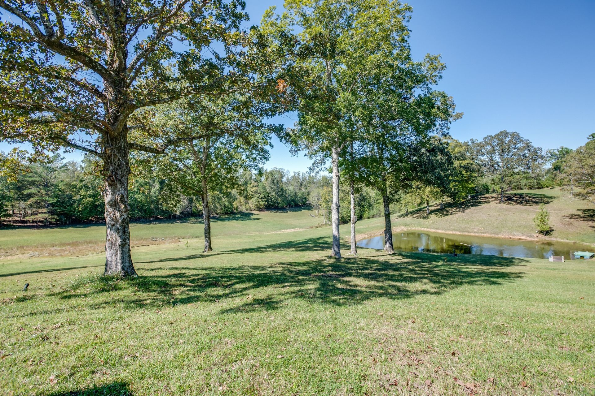 2743 Mouse Tail Road Parsons TN 38363