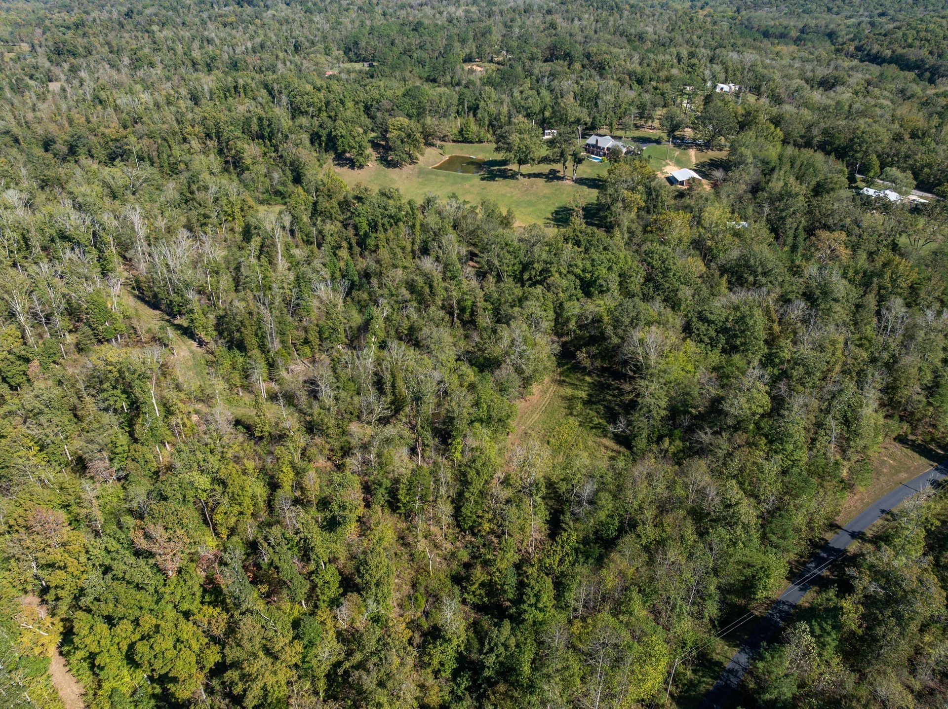 2743 Mouse Tail Road Parsons TN 38363