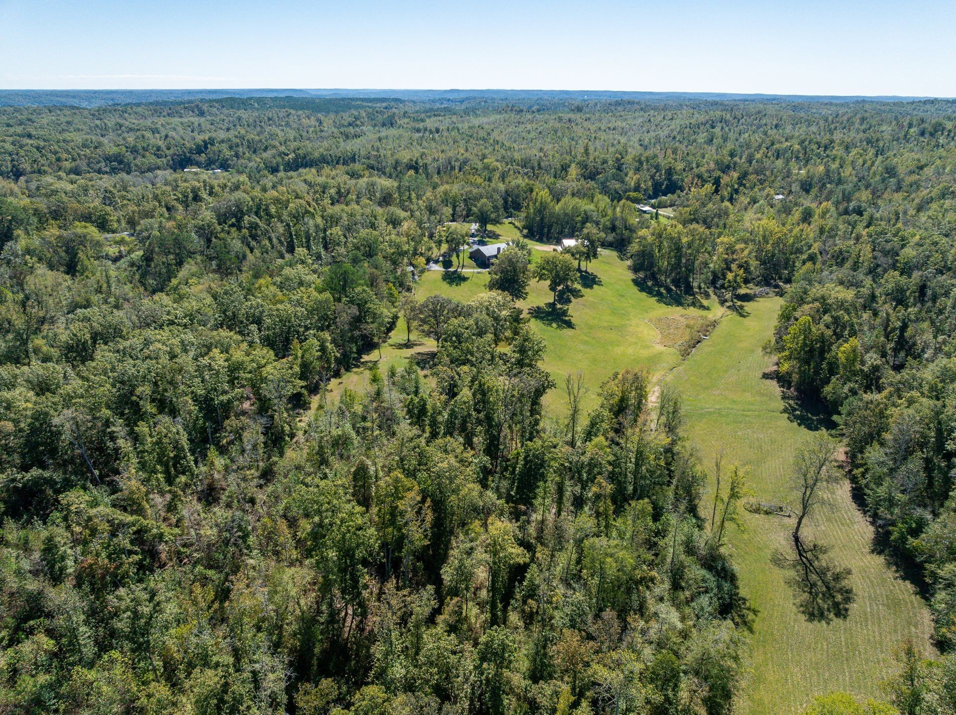 2743 Mouse Tail Road Parsons TN 38363