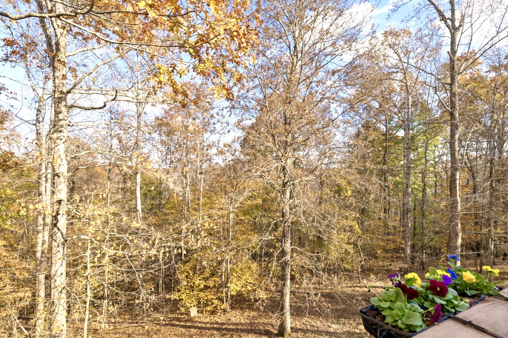 198 Cimmaron Way Ashland City TN 37015