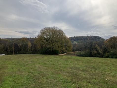 7 Booker Ridge Road Mount Pleasant TN 38474