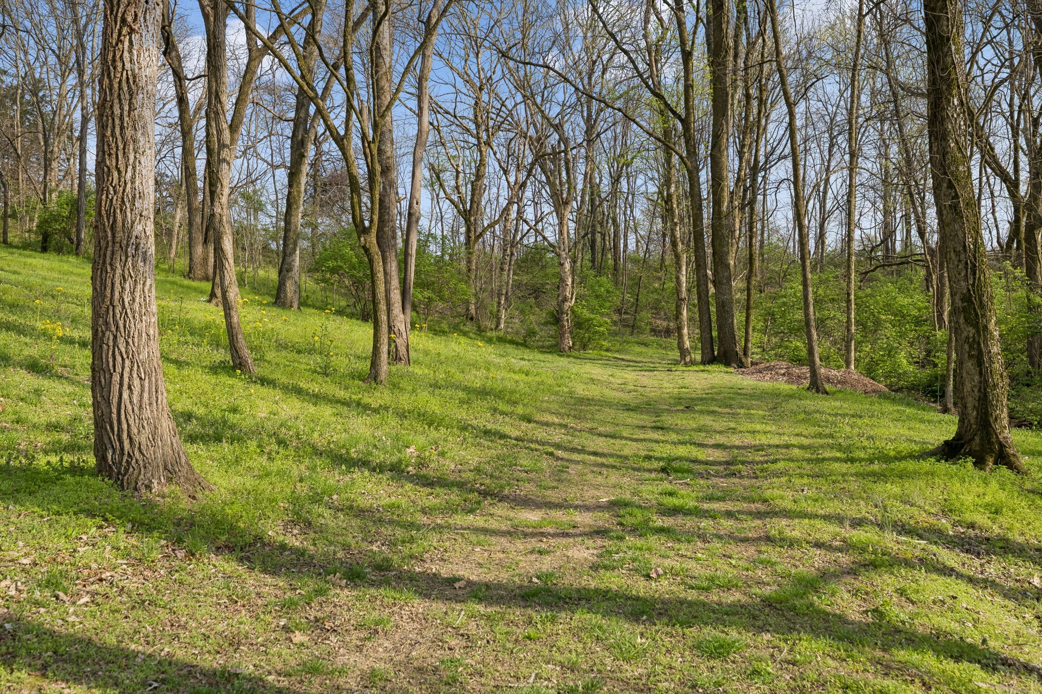 4694 Bennett Hollow Road Thompsons Station TN 37179