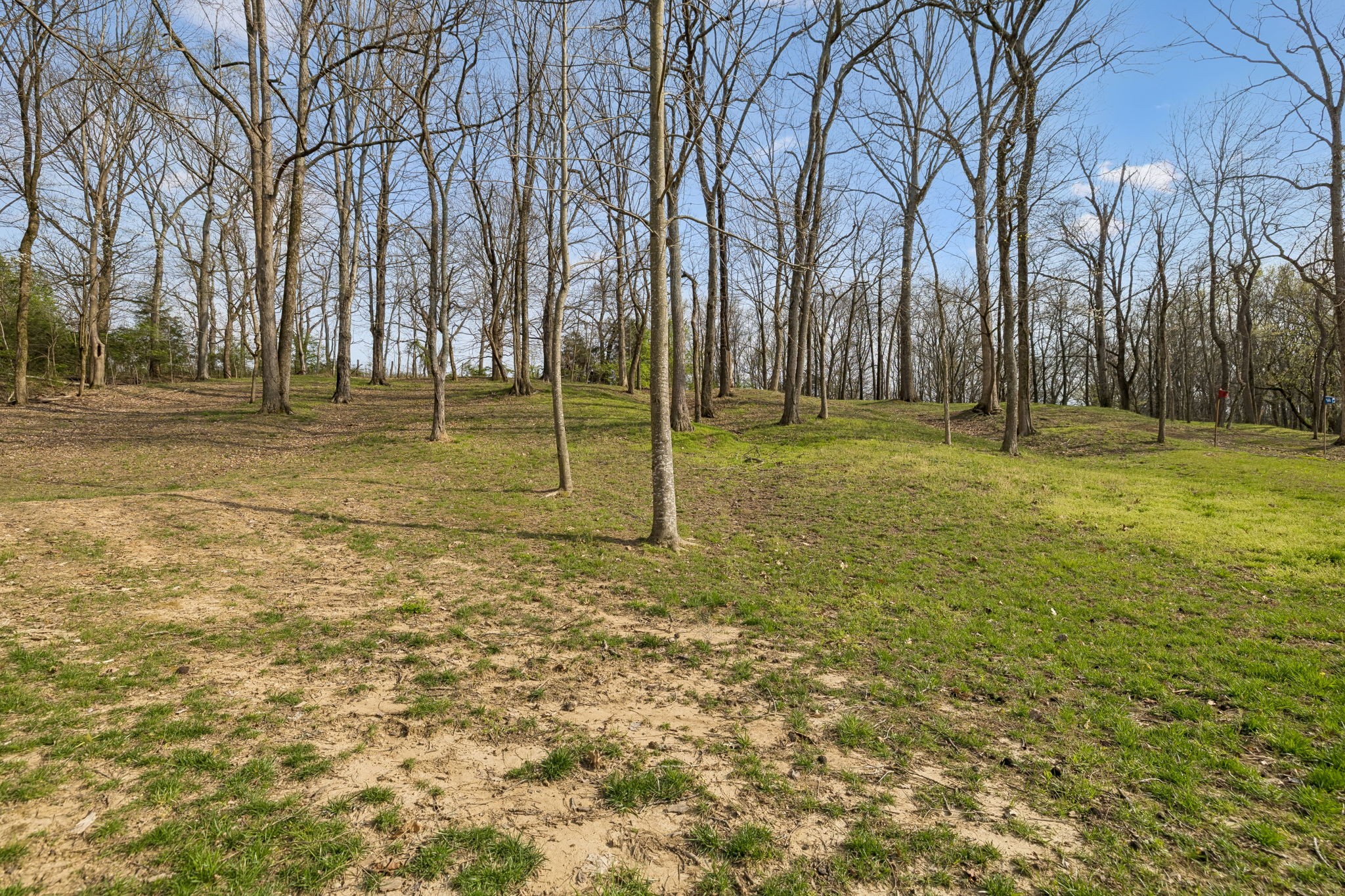 4694 Bennett Hollow Road Thompsons Station TN 37179