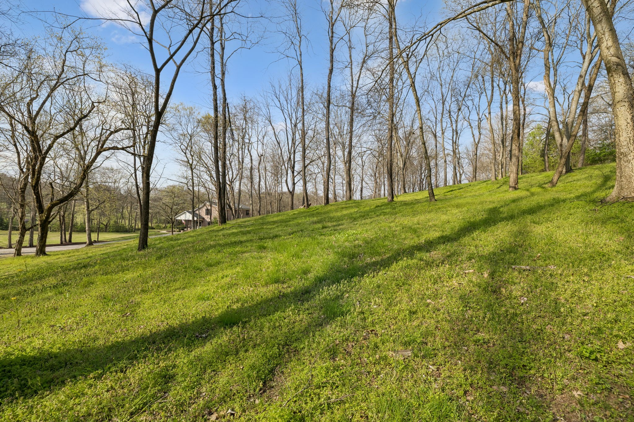 4694 Bennett Hollow Road Thompsons Station TN 37179