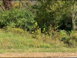 624 Thompson Creek Lane Lot 71 Cookeville TN 38506