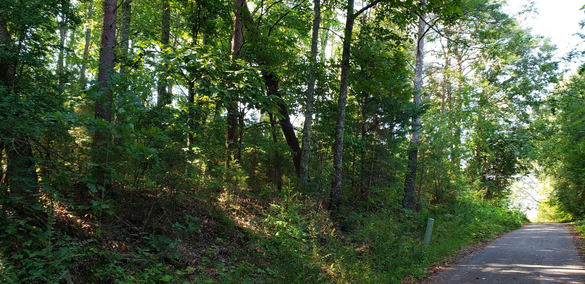0 Treeline Drive Dunlap TN 37327