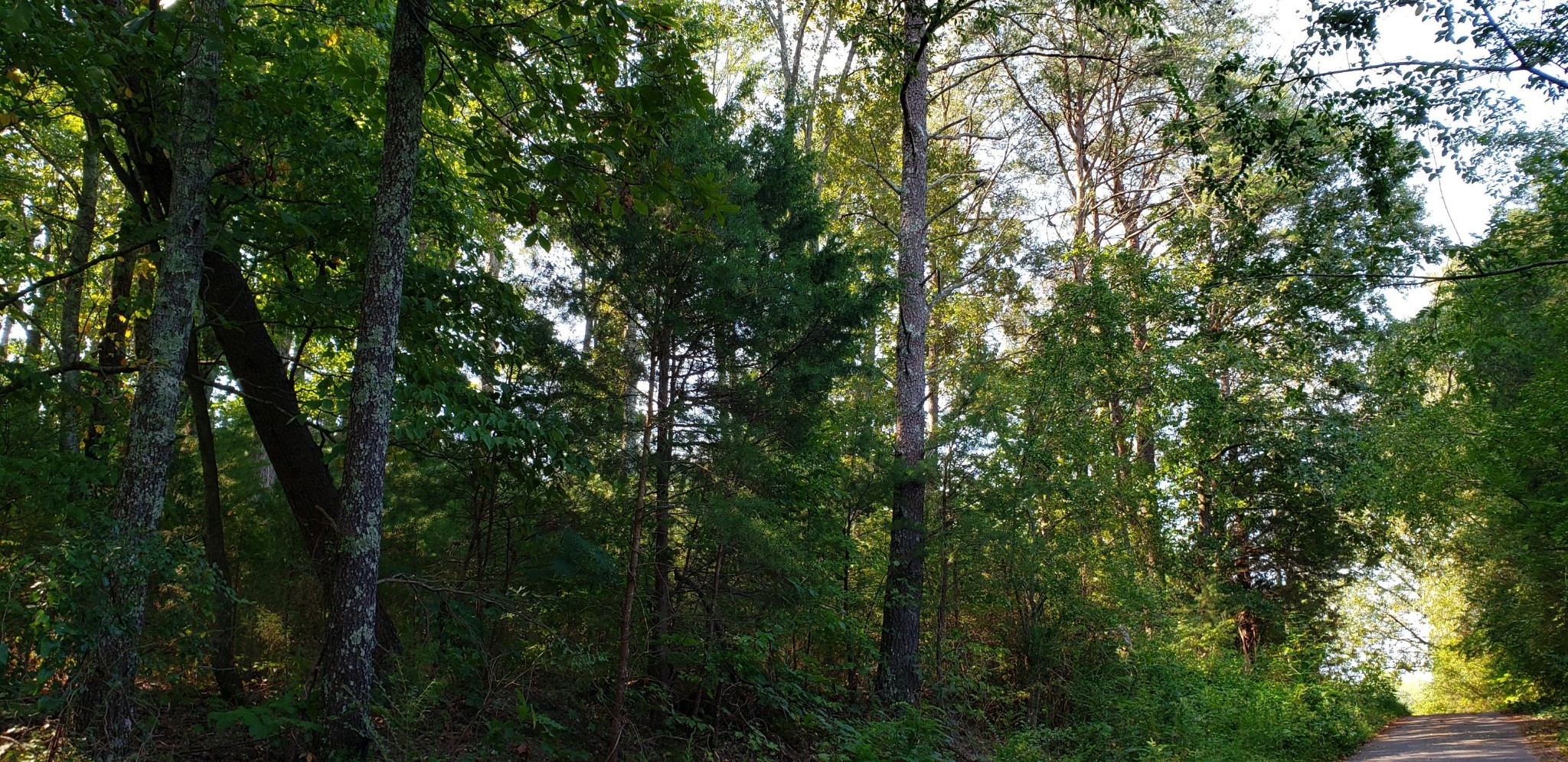 0 Treeline Drive Dunlap TN 37327
