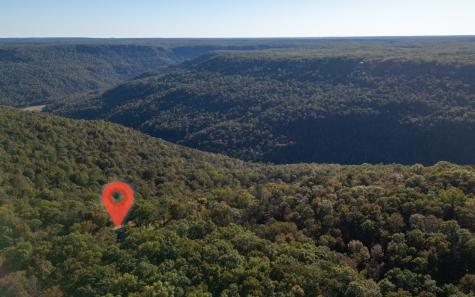 1517 Laurel Lake Drive Monteagle TN 37356