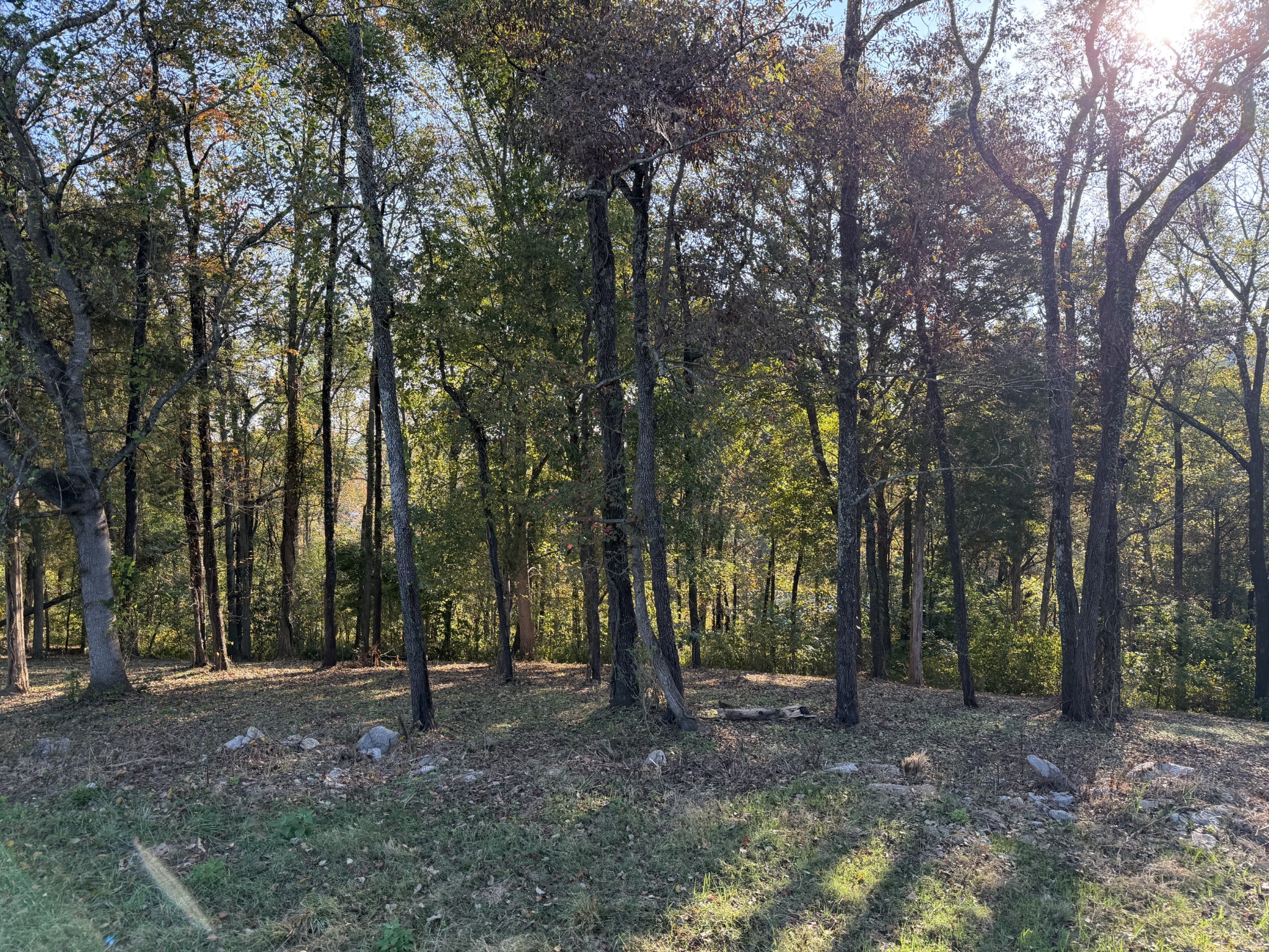 7025 Cairo Bend Road Lebanon TN 37087