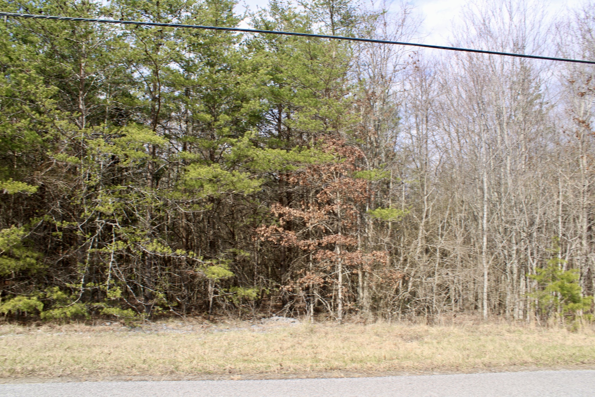 0 Denny Bend Road Spencer TN 38585