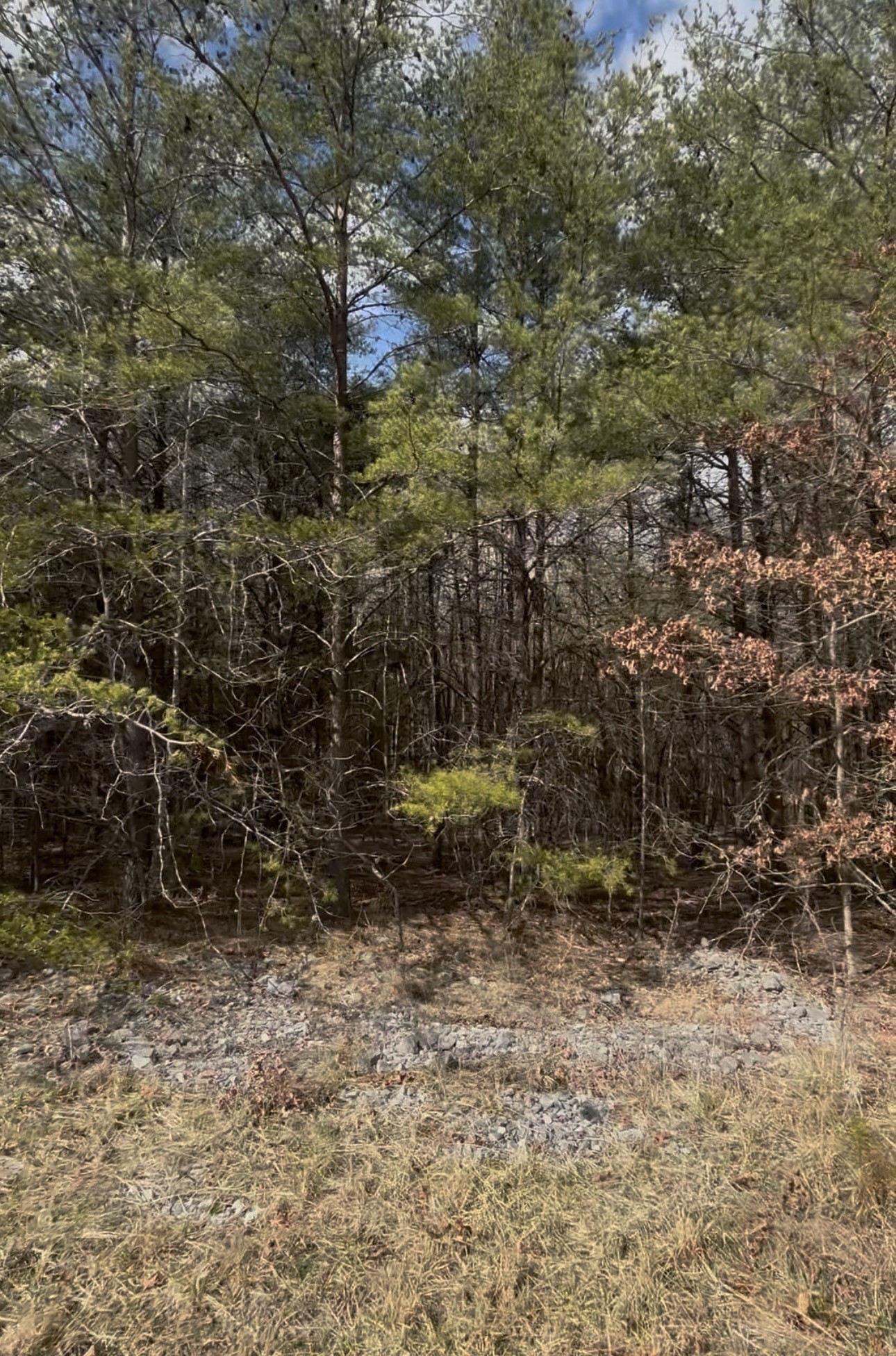 0 Denny Bend Road Spencer TN 38585