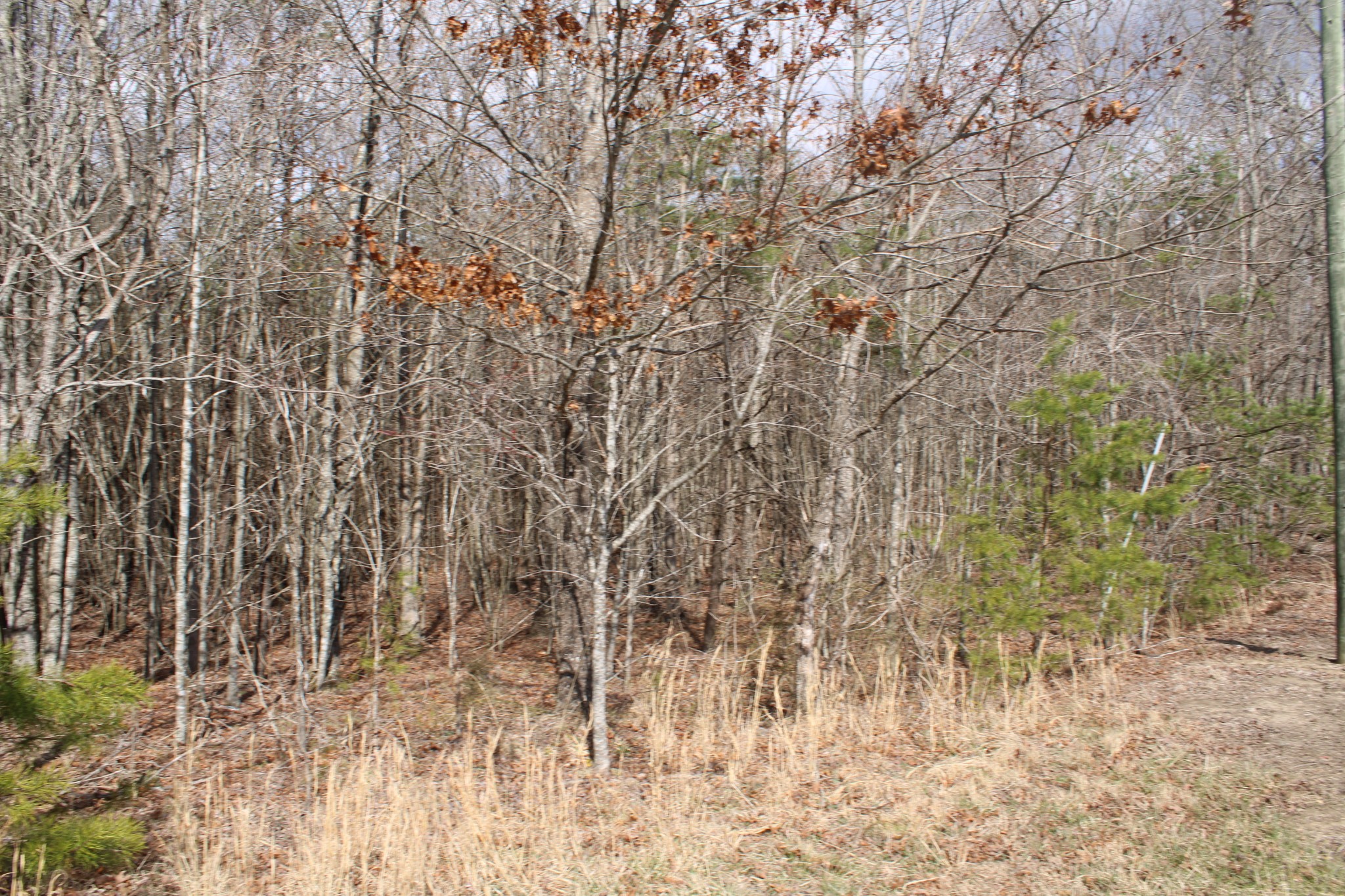 0 Denny Bend Road Spencer TN 38585