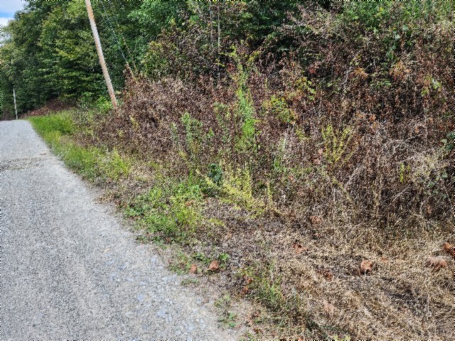 0 Apache Road Jamestown TN 38556