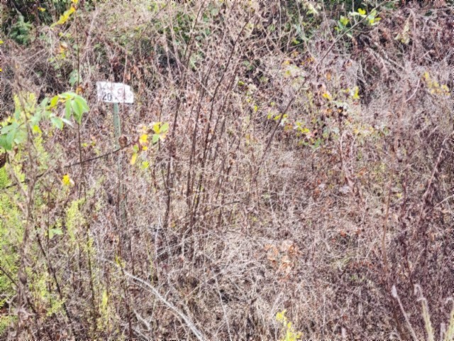 0 Apache Road Jamestown TN 38556