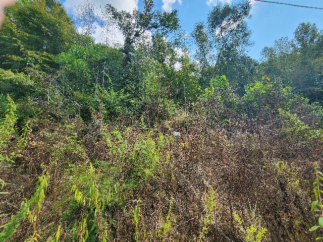 0 Apache Road Jamestown TN 38556