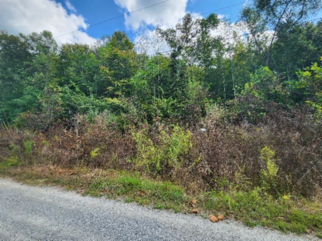0 Apache Road Jamestown TN 38556