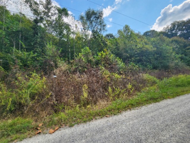 0 Apache Road Jamestown TN 38556