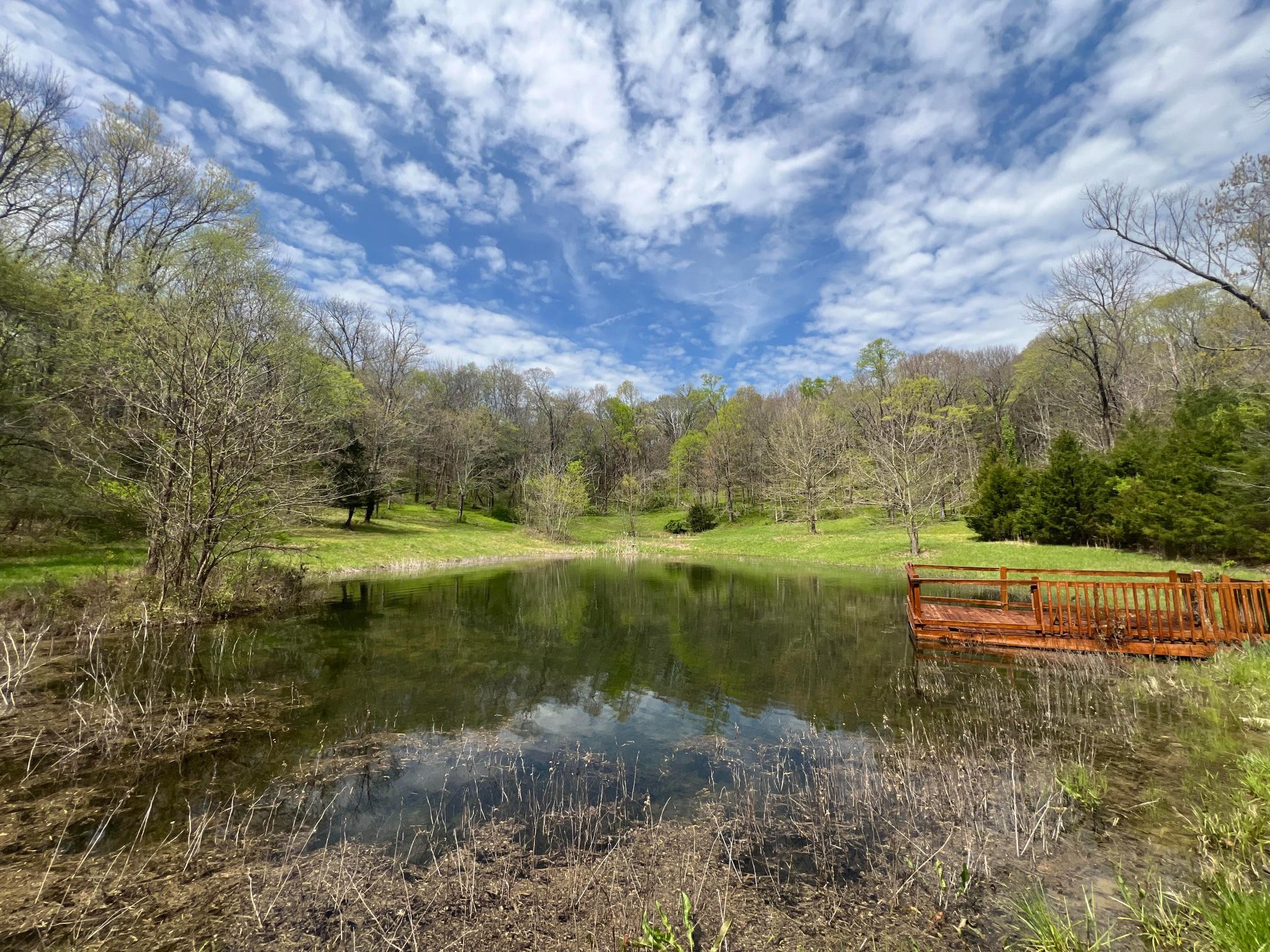 10515 Paw Paw Springs Road Arrington TN 37014