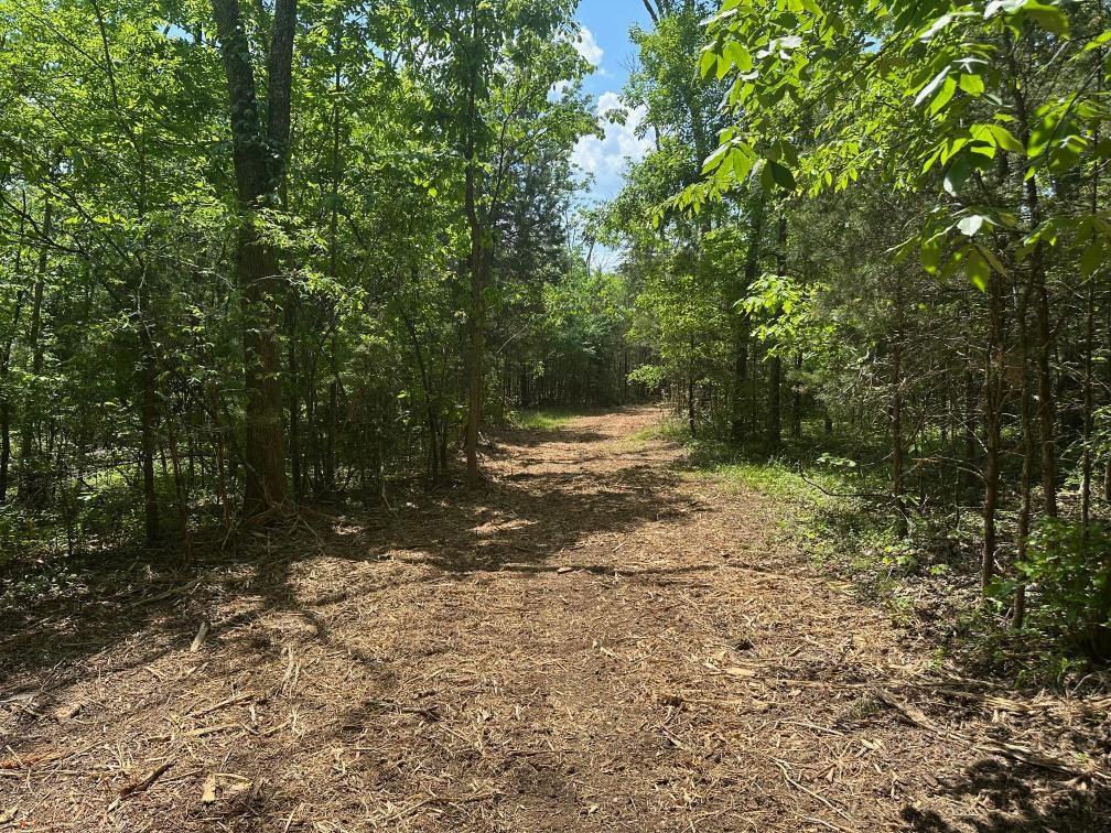 10515 Paw Paw Springs Road Arrington TN 37014