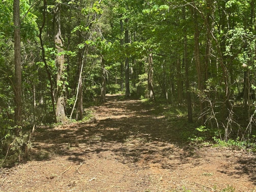 10515 Paw Paw Springs Road Arrington TN 37014
