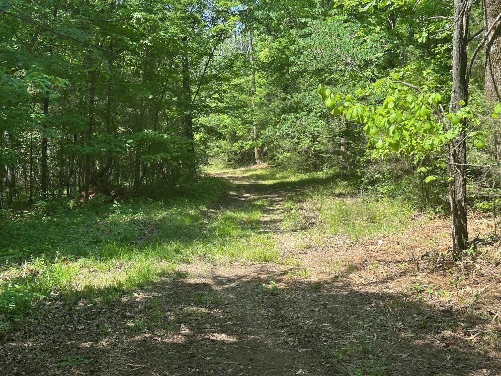 10515 Paw Paw Springs Road Arrington TN 37014
