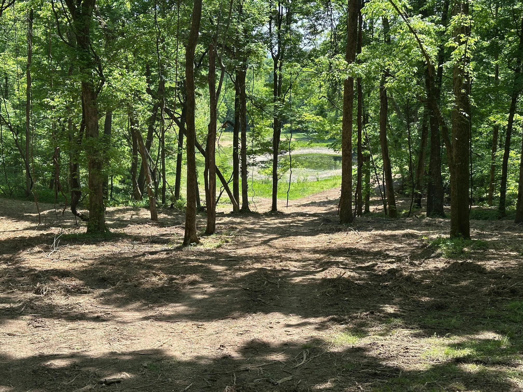 10515 Paw Paw Springs Road Arrington TN 37014
