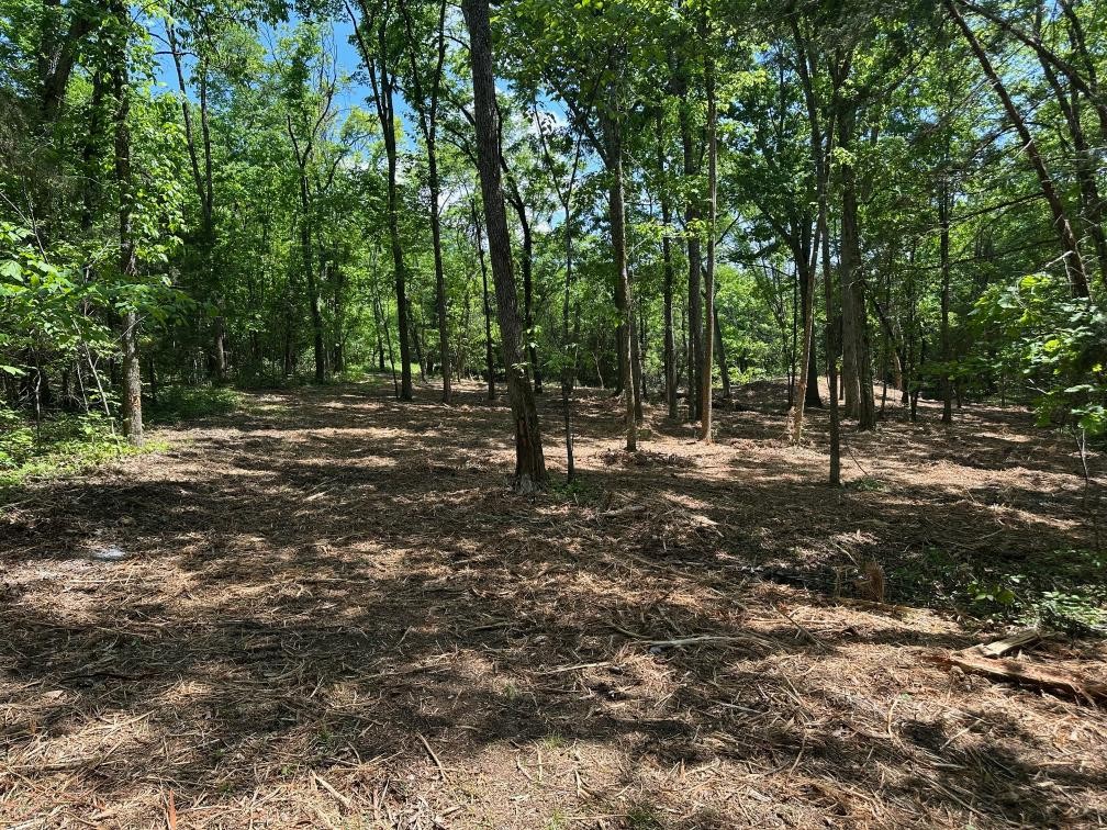 10515 Paw Paw Springs Road Arrington TN 37014