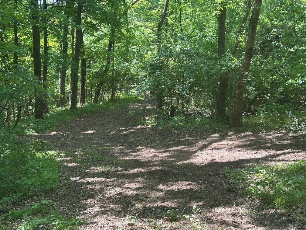 10515 Paw Paw Springs Road Arrington TN 37014