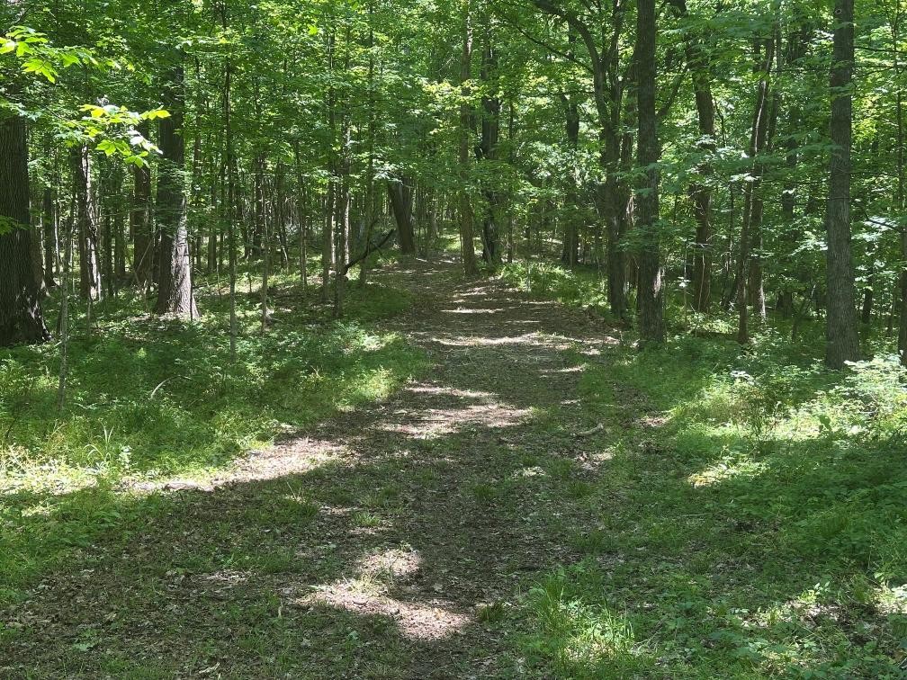 10515 Paw Paw Springs Road Arrington TN 37014