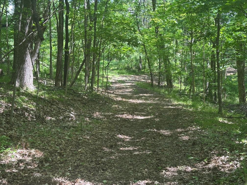 10515 Paw Paw Springs Road Arrington TN 37014