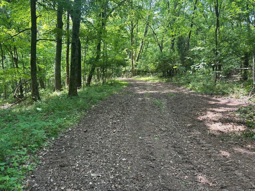 10515 Paw Paw Springs Road Arrington TN 37014