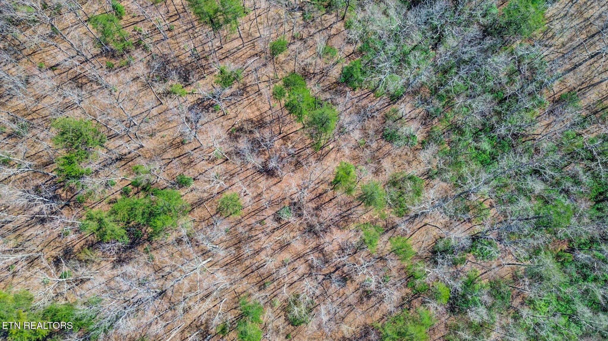 0 Thompson Road Crossville TN 38571