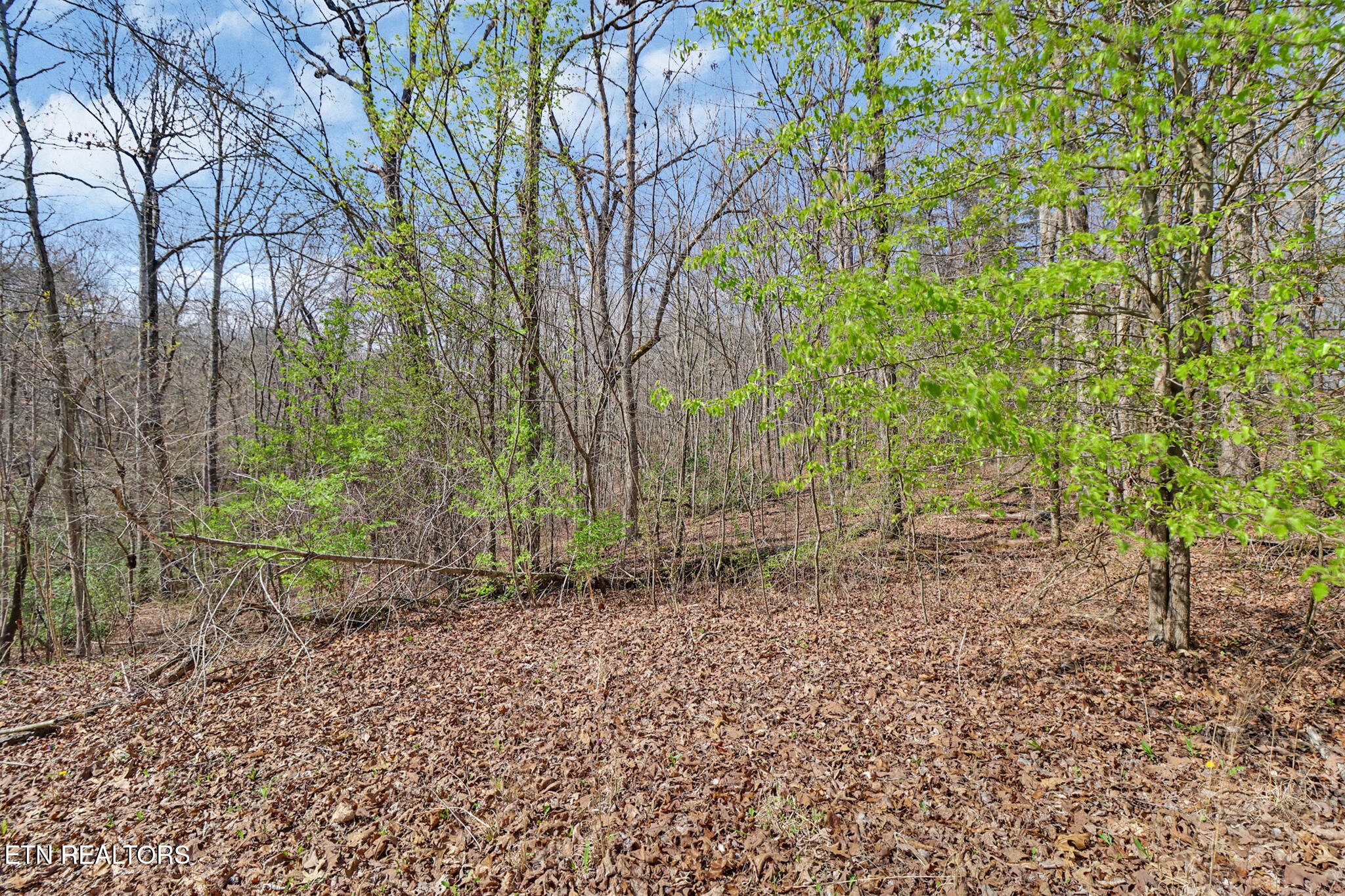 0 Thompson Road Crossville TN 38571