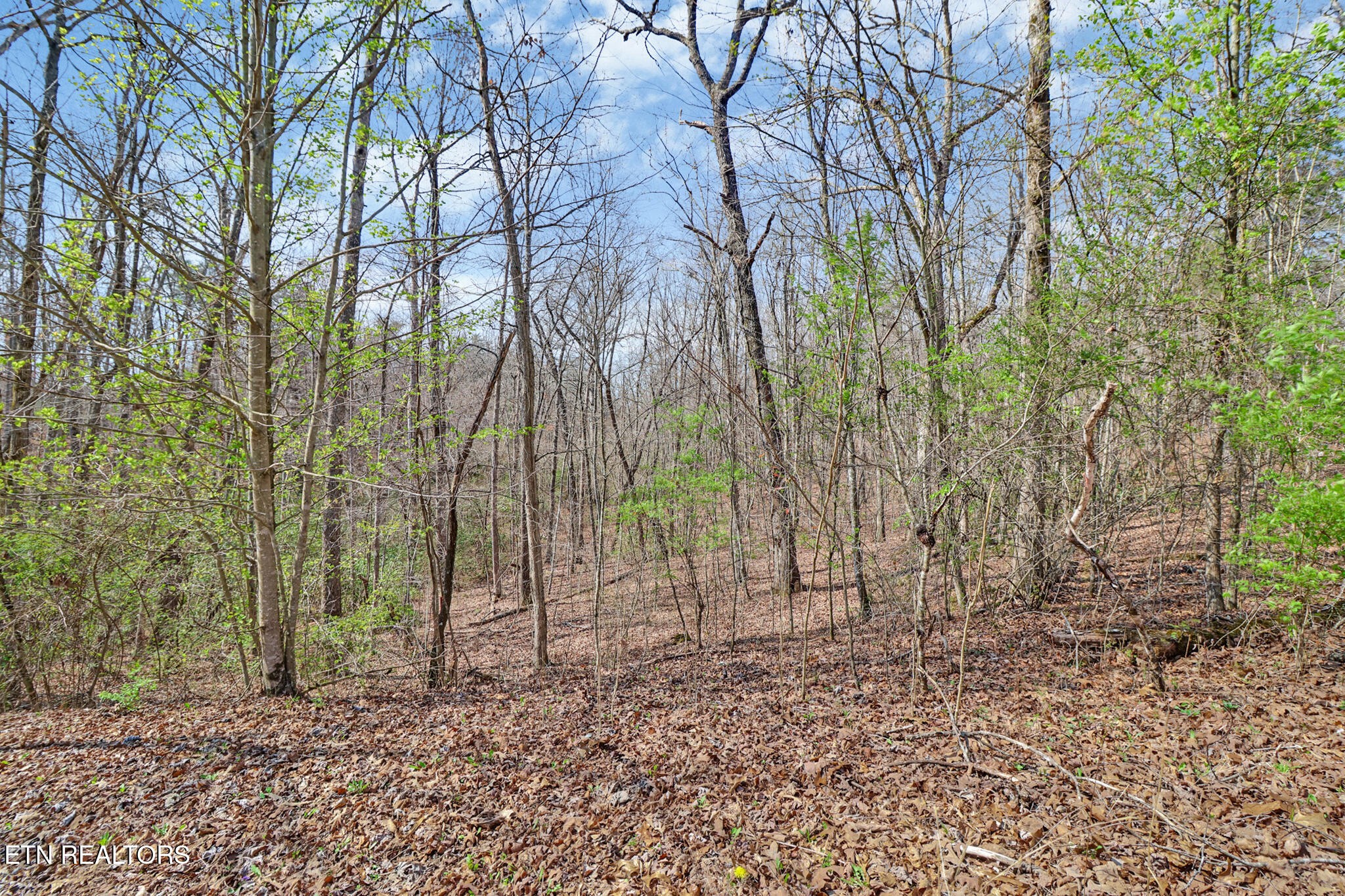0 Thompson Road Crossville TN 38571